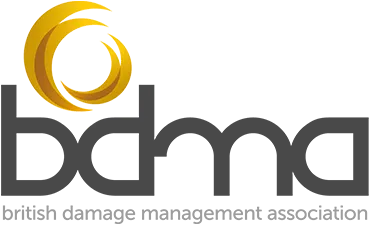 Logo of D'YARA Capital with stylized intertwined golden rings above the name in dark gray text.